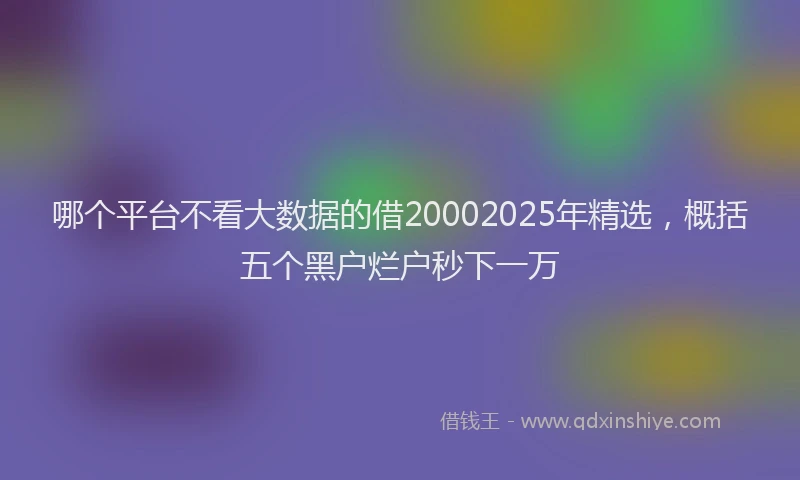 哪个平台不看大数据的借20002025年精选，概括五个黑户烂户秒下一万