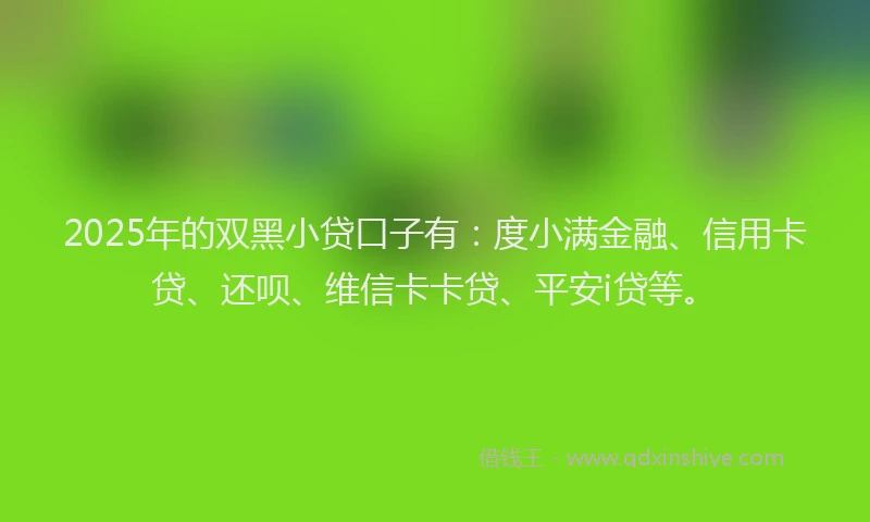 2025年的双黑小贷口子有：度小满金融、信用卡贷、还呗、维信卡卡贷、平安i贷等。