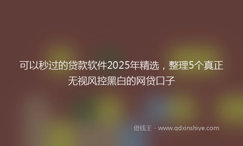 可以秒过的贷款软件2025年精选，整理5个真正无视风控黑白的网贷口子