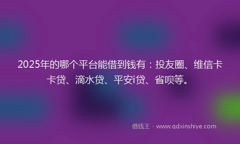2025年的哪个平台能借到钱有：投友圈、维信卡卡贷、滴水贷、平安i贷、省呗等。
