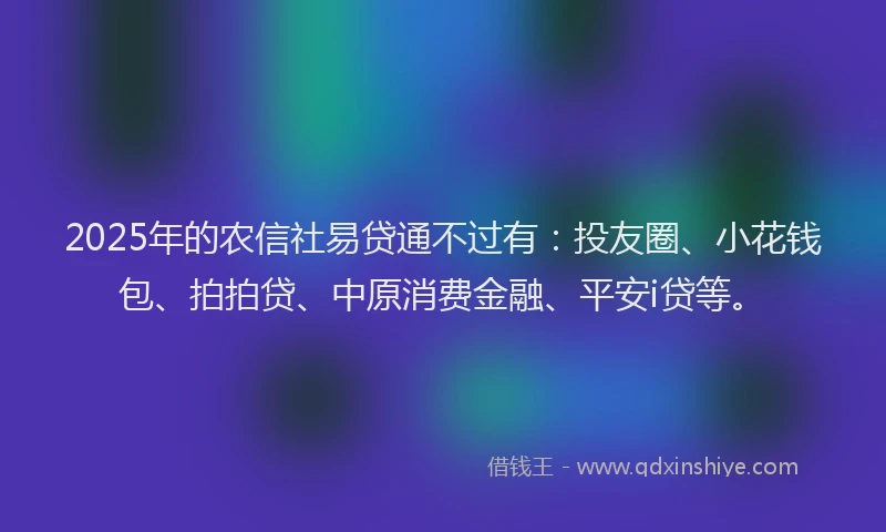 2025年的农信社易贷通不过有：投友圈、小花钱包、拍拍贷、中原消费金融、平安i贷等。