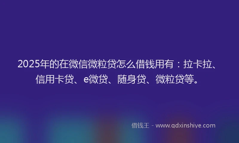 2025年的在微信微粒贷怎么借钱用有：拉卡拉、信用卡贷、e微贷、随身贷、微粒贷等。