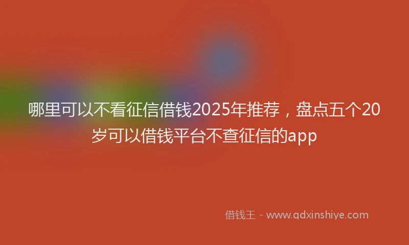 哪里可以不看征信借钱2025年推荐，盘点五个20岁可以借钱平台不查征信的app