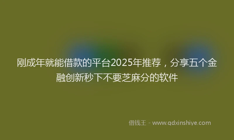 刚成年就能借款的平台2025年推荐，分享五个金融创新秒下不要芝麻分的软件
