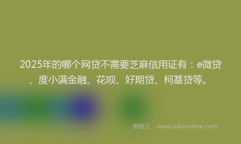 2025年的哪个网贷不需要芝麻信用证有：e微贷、度小满金融、花呗、好期贷、柯基贷等。