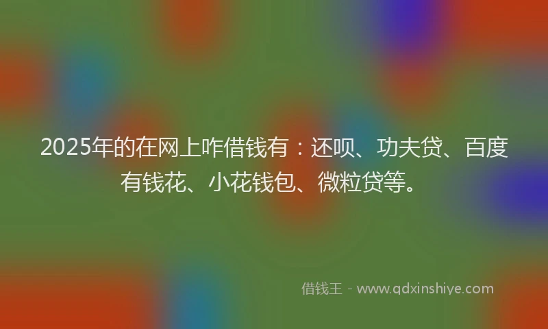 2025年的在网上咋借钱有：还呗、功夫贷、百度有钱花、小花钱包、微粒贷等。