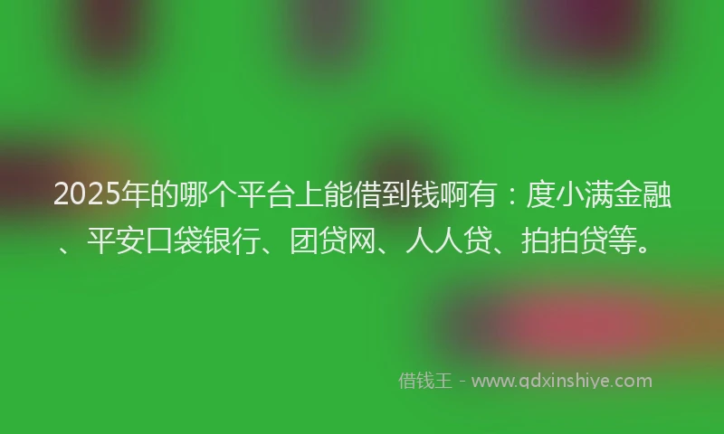 2025年的哪个平台上能借到钱啊有：度小满金融、平安口袋银行、团贷网、人人贷、拍拍贷等。