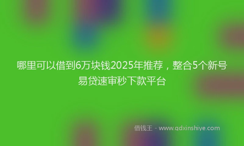 哪里可以借到6万块钱2025年推荐，整合5个新号易贷速审秒下款平台