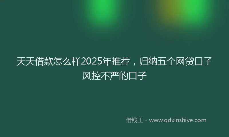 天天借款怎么样2025年推荐，归纳五个网贷口子风控不严的口子