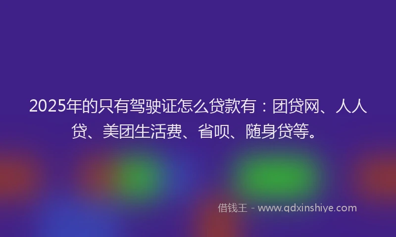 2025年的只有驾驶证怎么贷款有：团贷网、人人贷、美团生活费、省呗、随身贷等。