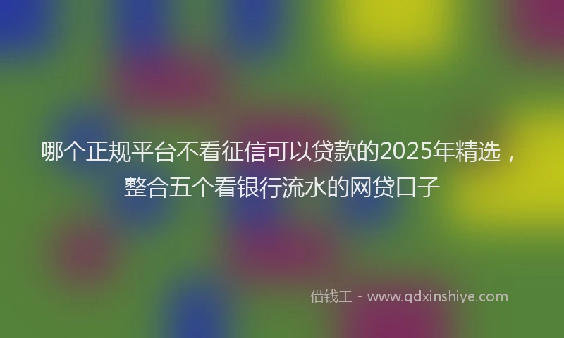 哪个正规平台不看征信可以贷款的2025年精选，整合五个看银行流水的网贷口子