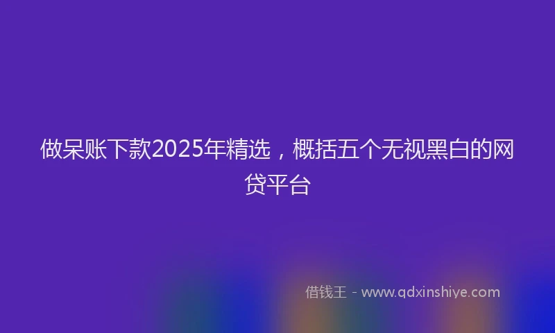 做呆账下款2025年精选，概括五个无视黑白的网贷平台