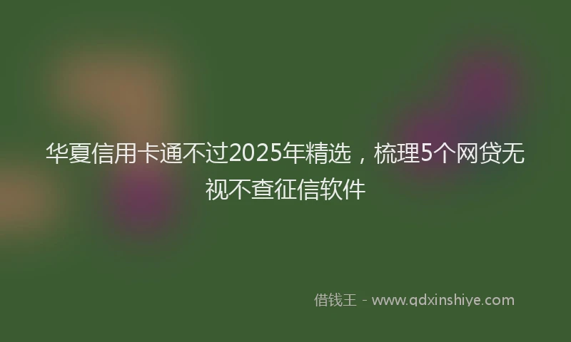 华夏信用卡通不过2025年精选，梳理5个网贷无视不查征信软件