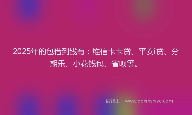 2025年的包借到钱有：维信卡卡贷、平安i贷、分期乐、小花钱包、省呗等。