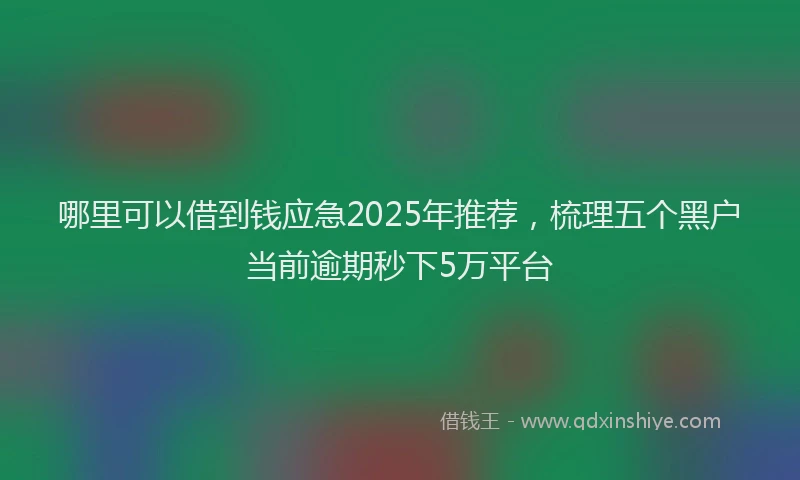 哪里可以借到钱应急2025年推荐，梳理五个黑户当前逾期秒下5万平台