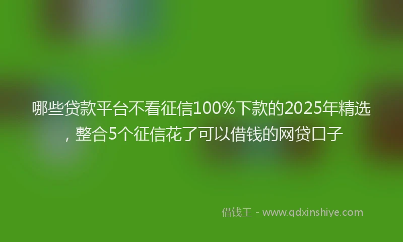 哪些贷款平台不看征信100%下款的2025年精选，整合5个征信花了可以借钱的网贷口子