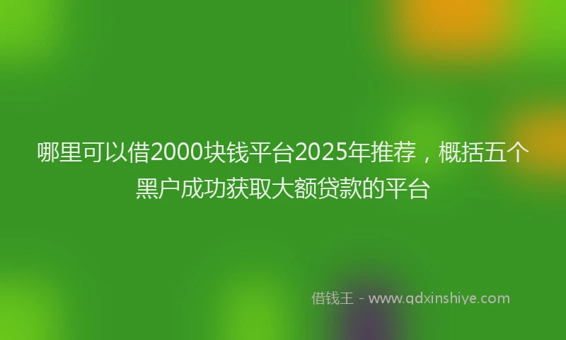 哪里可以借2000块钱平台2025年推荐，概括五个黑户成功获取大额贷款的平台