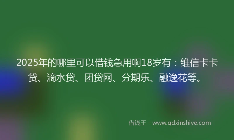 2025年的哪里可以借钱急用啊18岁有：维信卡卡贷、滴水贷、团贷网、分期乐、融逸花等。