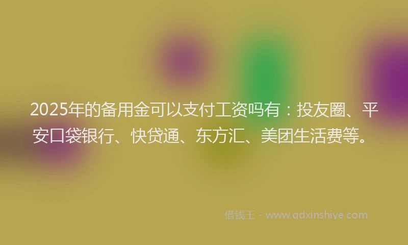 2025年的备用金可以支付工资吗有：投友圈、平安口袋银行、快贷通、东方汇、美团生活费等。