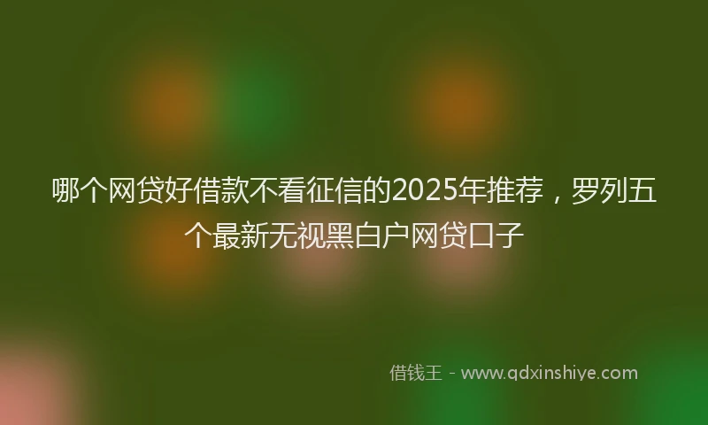 哪个网贷好借款不看征信的2025年推荐，罗列五个最新无视黑白户网贷口子