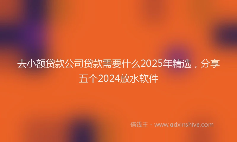 去小额贷款公司贷款需要什么2025年精选，分享五个2024放水软件