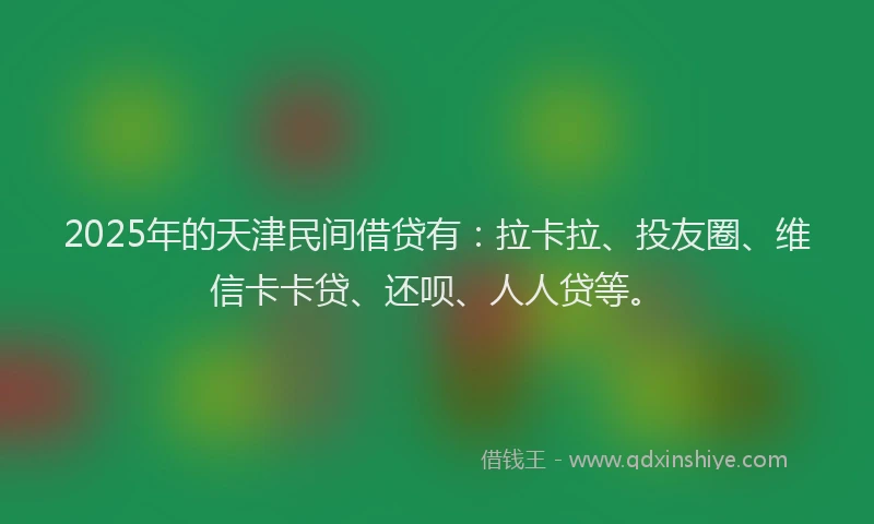 2025年的天津民间借贷有：拉卡拉、投友圈、维信卡卡贷、还呗、人人贷等。
