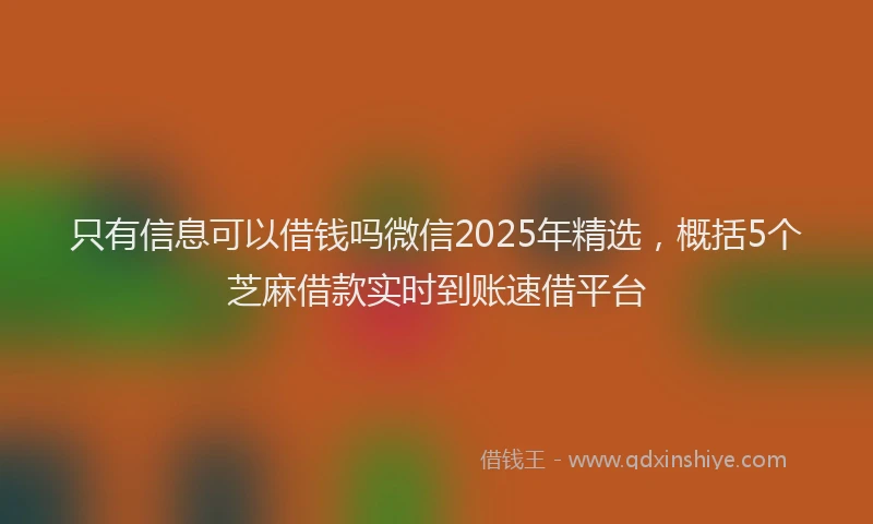 只有信息可以借钱吗微信2025年精选，概括5个芝麻借款实时到账速借平台