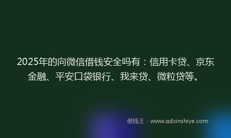 2025年的向微信借钱安全吗有：信用卡贷、京东金融、平安口袋银行、我来贷、微粒贷等。