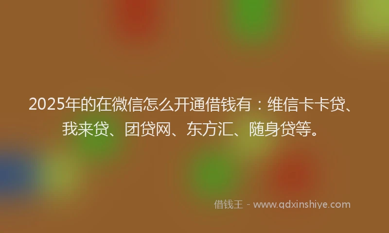 2025年的在微信怎么开通借钱有：维信卡卡贷、我来贷、团贷网、东方汇、随身贷等。