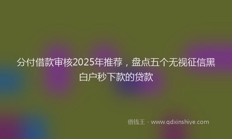 分付借款审核2025年推荐，盘点五个无视征信黑白户秒下款的贷款
