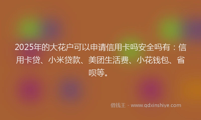 2025年的大花户可以申请信用卡吗安全吗有：信用卡贷、小米贷款、美团生活费、小花钱包、省呗等。