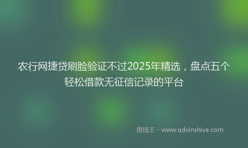 农行网捷贷刷脸验证不过2025年精选，盘点五个轻松借款无征信记录的平台