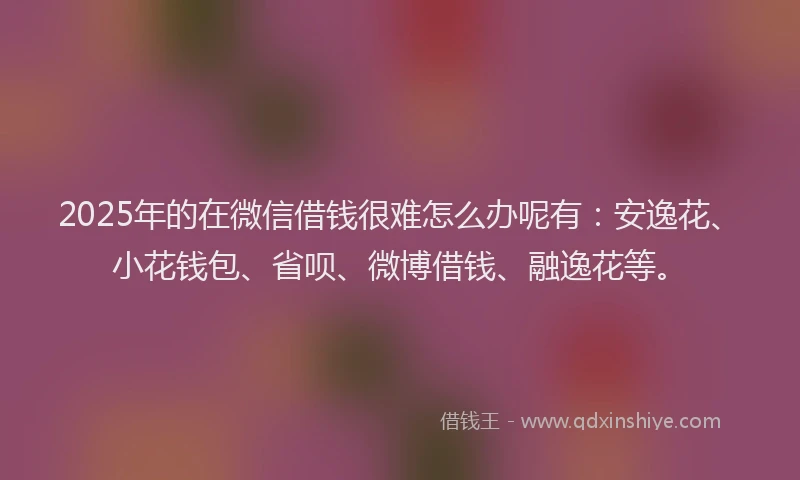 2025年的在微信借钱很难怎么办呢有：安逸花、小花钱包、省呗、微博借钱、融逸花等。