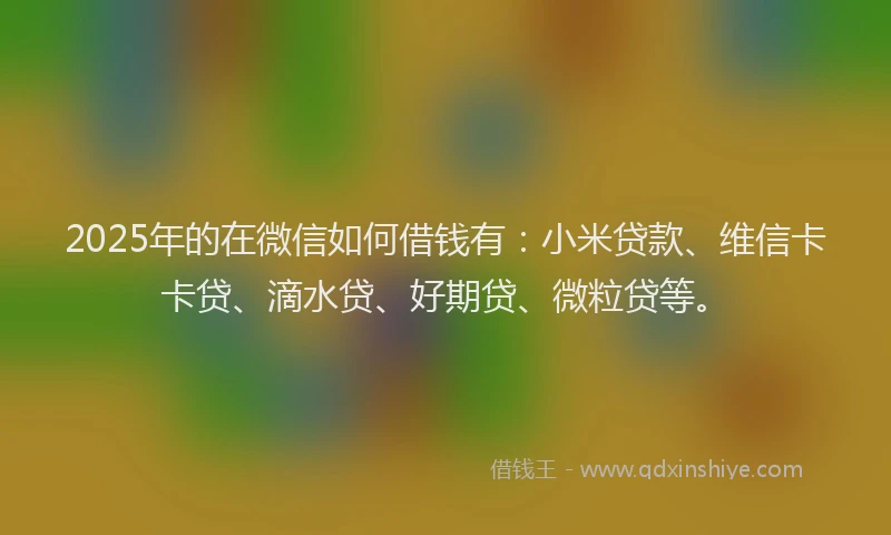 2025年的在微信如何借钱有：小米贷款、维信卡卡贷、滴水贷、好期贷、微粒贷等。