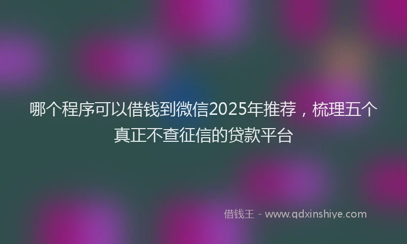 哪个程序可以借钱到微信2025年推荐，梳理五个真正不查征信的贷款平台