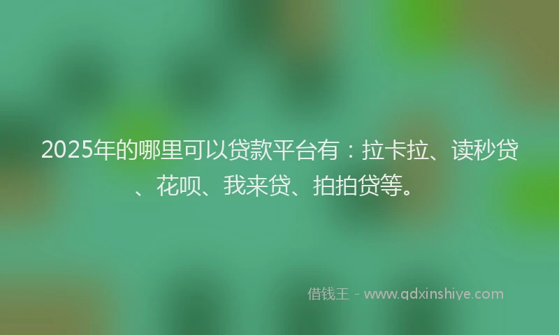 2025年的哪里可以贷款平台有：拉卡拉、读秒贷、花呗、我来贷、拍拍贷等。