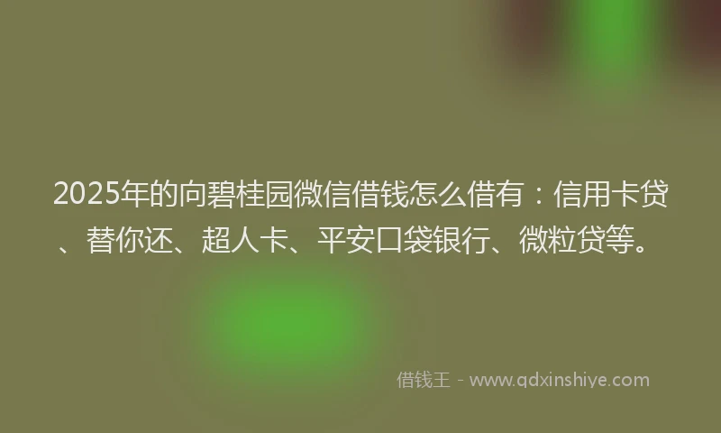 2025年的向碧桂园微信借钱怎么借有：信用卡贷、替你还、超人卡、平安口袋银行、微粒贷等。