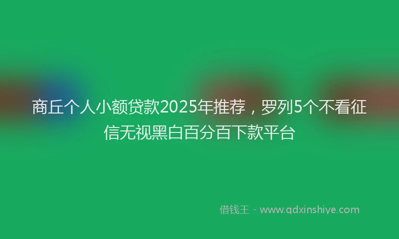 商丘个人小额贷款2025年推荐，罗列5个不看征信无视黑白百分百下款平台