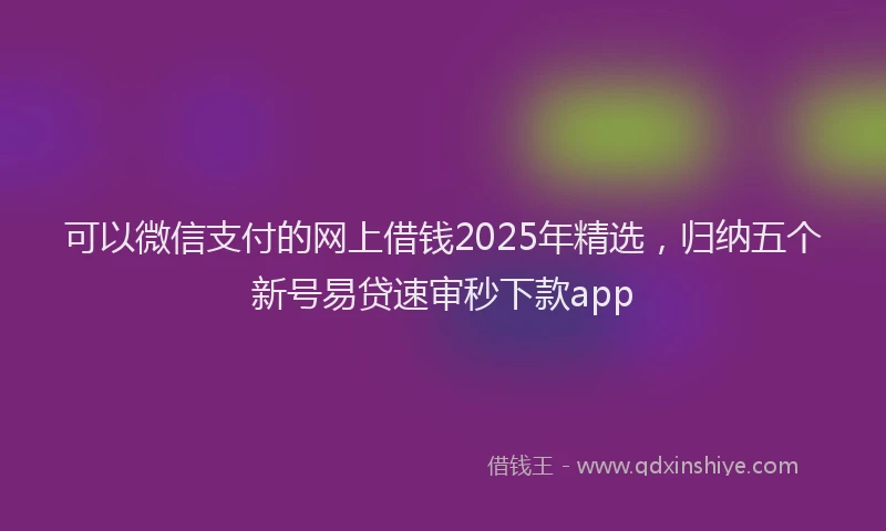 可以微信支付的网上借钱2025年精选，归纳五个新号易贷速审秒下款app