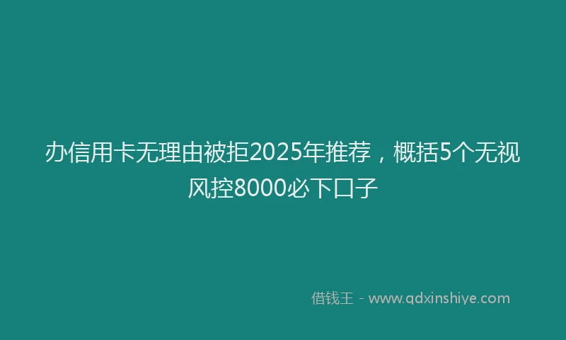 办信用卡无理由被拒2025年推荐，概括5个无视风控8000必下口子