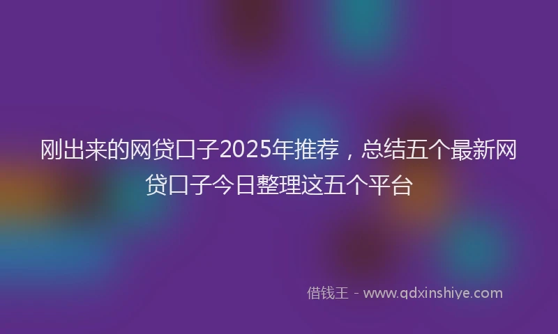 刚出来的网贷口子2025年推荐，总结五个最新网贷口子今日整理这五个平台