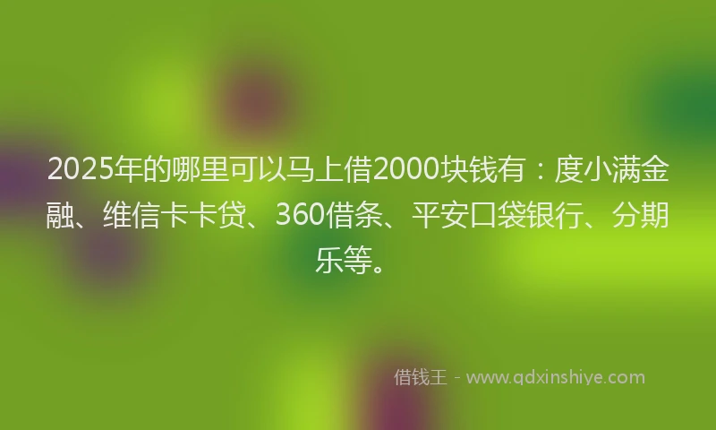 2025年的哪里可以马上借2000块钱有：度小满金融、维信卡卡贷、360借条、平安口袋银行、分期乐等。