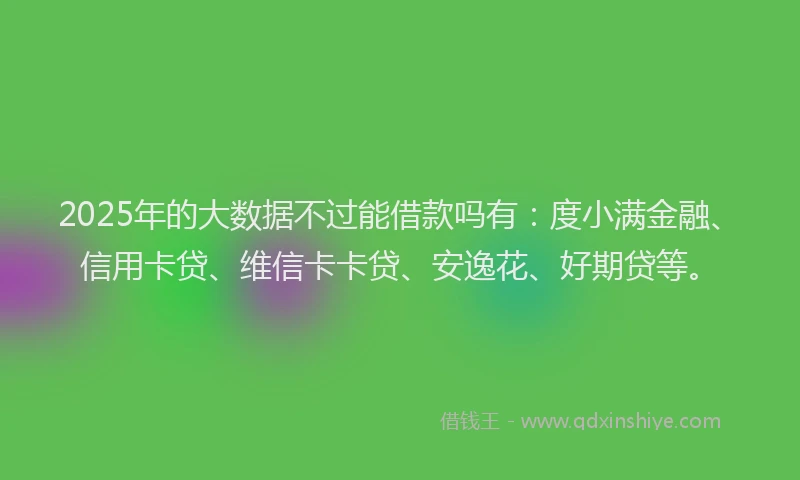 2025年的大数据不过能借款吗有：度小满金融、信用卡贷、维信卡卡贷、安逸花、好期贷等。