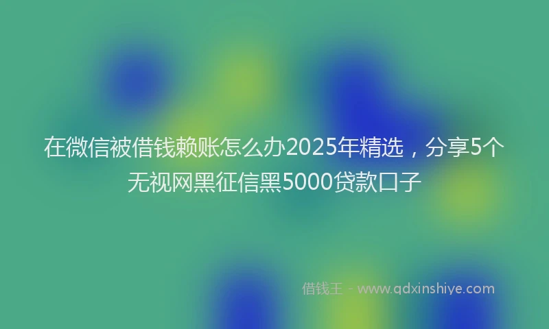 在微信被借钱赖账怎么办2025年精选，分享5个无视网黑征信黑5000贷款口子