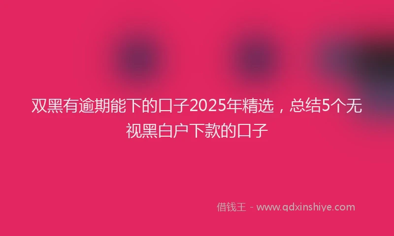 双黑有逾期能下的口子2025年精选，总结5个无视黑白户下款的口子