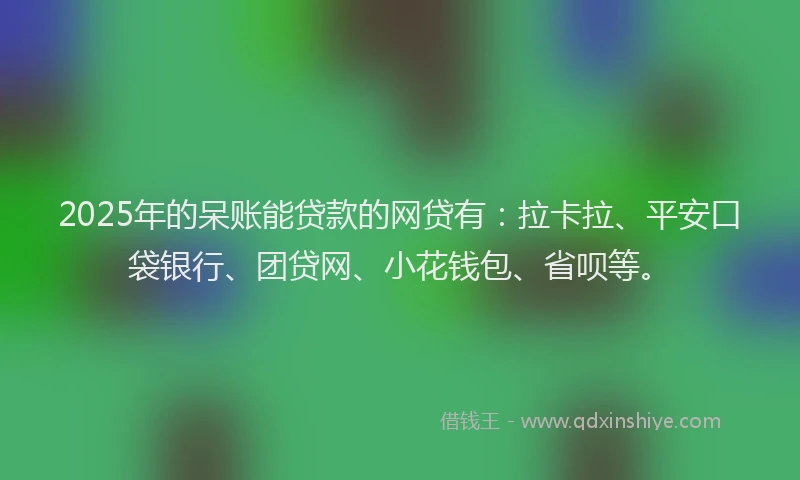 2025年的呆账能贷款的网贷有：拉卡拉、平安口袋银行、团贷网、小花钱包、省呗等。
