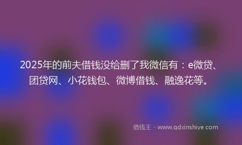 2025年的前夫借钱没给删了我微信有：e微贷、团贷网、小花钱包、微博借钱、融逸花等。