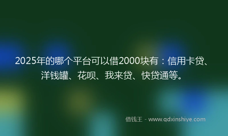 2025年的哪个平台可以借2000块有：信用卡贷、洋钱罐、花呗、我来贷、快贷通等。