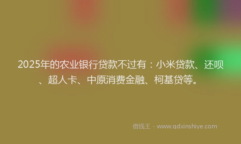 2025年的农业银行贷款不过有：小米贷款、还呗、超人卡、中原消费金融、柯基贷等。