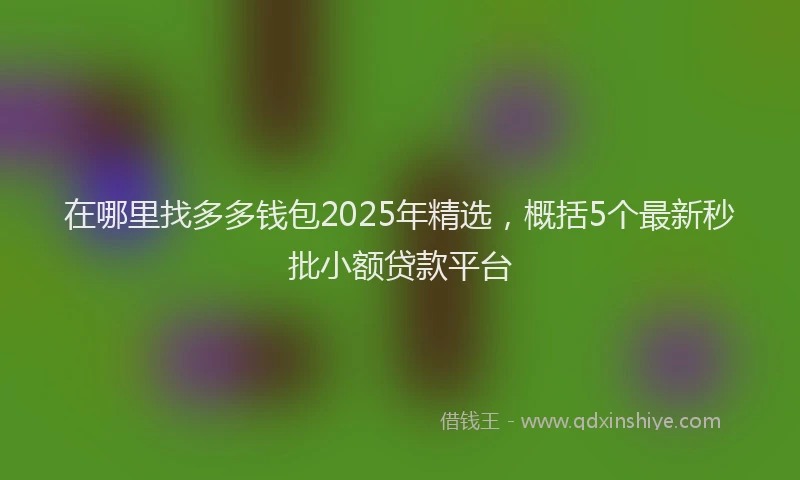 在哪里找多多钱包2025年精选，概括5个最新秒批小额贷款平台
